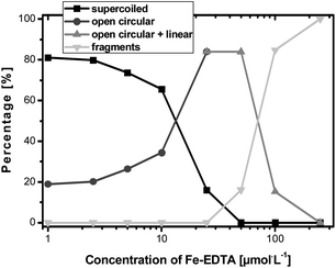 Results of the plasmid DNA oxidation studies in dependence of the concentration of the Fenton reagent.