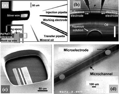 Representative ways of manipulating microelectrodes in nanoscopic domains. (a) Manipulation of pipette and microelectrode into the open end of picolitre-volume vials. A mineral oil cap was placed on the vial to prevent solution evaporation. Image reprinted with permission from ref. 35. (b) Insertion of needle-type microelectrodes into microdroplets with volumes down to a few picolitres. The scale bar is 10 μm. Image reprinted with permission from ref. 15. (c) Integration of microelectrodes into microchambers fabricated by photolithographic method. Image reprinted with permission from ref. 60. (d) Microchannels with integrated micro-working, counter and reference electrodes prepared by plasma etching. Image reprinted with permission from ref. 54.