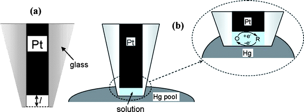 Schematic representation of a recessed nanoelectrode (a) and thin layer cell (TLC) prepared by immersing an etched Pt nanoelectrode into the pool of Hg (b). The inset shows a thin water layer trapped inside the glass sheath. In the nanometre-sized electrochemical TLC, the total number of redox molecules can be varied between one and a few hundred. The oxidized form of the mediator is reduced at Pt UME and reoxidized at the Hg surface. Images reprinted with permission from ref. 77.