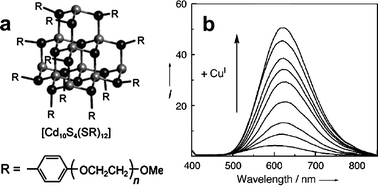 Cu(i) sensing system based on PEGylated CdS clusters: (a) cluster structure; (b) photoluminescence increase upon Cu(i) addition in water, as a consequence of the perturbation of the surface electronic structure of the quantum dots (adapted from ref. 14b).