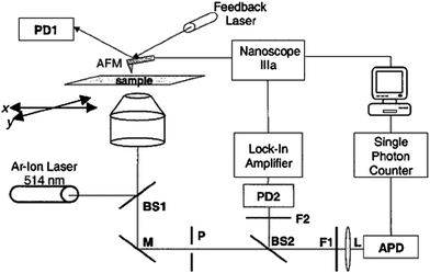 A schematic diagram of the experimental setup for correlating fluorescence and AFM. Key: BS1, BS2, Beam splitters; M, mirror; P, pinhole; F1, F2, optical filters; L, lens; PD1, AFM feedback detector; PD2, Si photodiode detector. (L. A. Kolodny et al., Anal. Chem., 2001, 73, 1959–1966; copyright 2003, American Chemical Society. Reproduced with permission.)