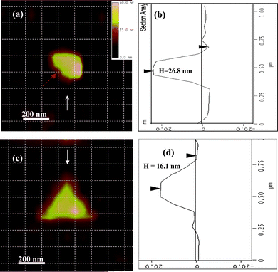 
            AFM images of two other specific Ag NPs for LSPR measurement. (a) the AFM image for a quasi-ellipsoid-shaped Ag nanoparticle with long axis of 280 nm and short axis of 196 nm; (b) the height mapping of the quasi-ellipsoid-shaped Ag nanoparticle along the direction of the arrow in Fig. 12(a), showing the out-of-plane height of this nanoparticle about 26.8 nm; (c) the AFM image for one triangular-shaped Ag nanoparticle with average edge length of 383 nm; (d) the height mapping of the triangle shape Ag nanoparticle along the direction of the arrow in Fig. 12(c), showing the out-of-plane height of this nanoparticle of 16.1 nm. In order to identify the location and the orientation of these positions around the NPs, the AFM image and color image were netted by dashed lines with each square unit of 125 × 125 nm after their distances and orientations were corrected. (Adapted from reference Y. Song, China Patent, Appl. No. CN200910085973.9).