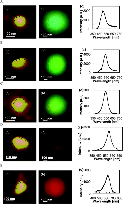 Characterization of shape-dependent optical properties (LSPR spectra) of single Ag NPs determined using experimental measurements and theoretical calculations. (A–E): (a) AFM images, (b) dark-field optical color images, and (c) experimental measured LSPR spectra. All scale bars are 100 nm. Note that the scale bars in (b) are used to measure the size of image arrays, but not the sizes of single NPs because the NPs are imaged under optical diffraction limit. (Y. Song, et al.J. Phys. Chem. C, 2010 114, 74–81; copyright (2010) American Chemical Society. Adapted with permission.)