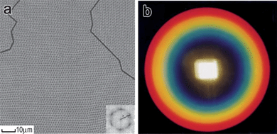 (a) Top view of hexagonal structure of particle columns in a magnetic fluid. (b) Chromatic rings resulting from the diffraction and interference as the beam of white light passing through the magnetic fluid film subjected to a perpendicular magnetic field. Reproduced with permission from ref. 35.