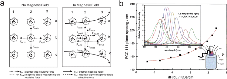 (a) Forces on superparamagnetic particles within a colloidal crystal array in the absence and presence of a magnetic field. (b) Influence of magnetic field gradient, dH/dL, on the lattice constant of a thick CCA composed of 134 nm particles in deionized water (4.2 vol%). Reproduced with permission from ref. 41.