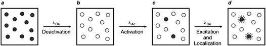 
          STORM relies on the illumination of a labeled sample (a) at a deactivating wavelength (λDe) with a beam of high intensity to switch all probes from an emissive to a nonemissive state (b). The deactivated fluorophores are irradiated at an activating wavelength (λAc) with a beam of low intensity to switch a small fraction of probes back to the fluorescent state (c). The illumination of the sample again at λDe with a beam of low intensity excites the activated probes, which then emit light until they switch back to the nonemissive state. The emitted photons can be collected to localize individually the active probes (d). The activation and excitation steps can then be reiterated multiple times until the coordinates of a sufficiently large number of probes are registered to compile a complete image of the sample.