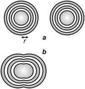 Two Airy patterns are spatially resolved (a) if their center-to-center distance is greater than r, and spatially unresolved (b) if their center-to-center distance is smaller than r.