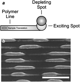 (a) The translation of an acrylic resin, doped with malachite green carbinol base, under overlapped exciting and depleting focal spots results in the patterning of a polymer line with a width defined by the degree of overlap of the two spots. (b) A scanning electron micrograph (scale bar = 400 nm) of a sample patterned while turning on and off the depleting beam shows that the width of the written polymer lines changes with the modulation of the depleting spot (reproduced from ref. 18a with permission).