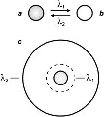 Photochromic compounds switch reversibly between two states (a and b) under irradiation at appropriate wavelengths (λ1 and λ2). One of their two interconvertible states can be confined within a subdiffraction area (c) by focusing overlapped circular and doughnut-shaped spots at λ1 and λ2 respectively on the sample.