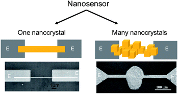 Two approaches in the development of nano-chemiresistors: (on the left) a receptor is an individual nanoelement and (on the right) a receptor consist of many individual shape- and size-controlled nanoelements, i.e.nanoparticles with identical form, assembled in a specific way. E: metal electrodes. (Left bottom) Copyright the American Institute of Physics, reproduced from ref. 8 with permission. (Right bottom) Copyright Elsevier, reproduced from ref. 9 with permission.