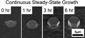 
          SEM images of ZnO hexagonal prisms {00-10} grown continuously in a hydrothermal reactor. Copyright the American Chemical Society, reproduced from ref. 54 with permission.