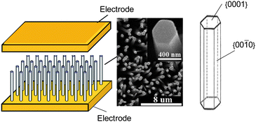 As hexagonal ZnO nanowires could be obtained with elongated hexagon morphology with {00-10} side facets and they could be easily aligned, they could serve as almost ideal structures for such fundamental studies. (In the middle) copyright the American Chemical Society, reproduced from ref. 81 with permission.