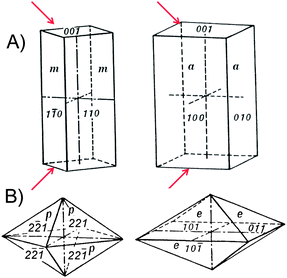 (A) Tetragonal prisms consisting of four rectangular vertical facets, from left to right: prism of first order {110} and that of second order {010}. (B) Tetragonal dipyramids with eight isosceles triangular facets, from left to right: dipyramid of first order {hh1} and that of second order {0kl}. Arrows indicate the face (basal) facets which have to be masked.