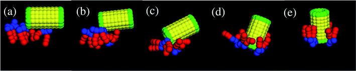 Snapshots of the nanotube being chaperoned by neighboring lipids during its insertion into the tensionless membrane (A0 = 1.28). Time elapsed since the nanotube capture for each frame is (a) 450 τ, (b) 1120 τ, (c) 1150 τ, (d) 1170 τ, and (e) 1230 τ. For clarity, we show here only those lipids that undergo a “flip-flop” and in the final snapshot (see Fig. 2d) have the head groups within the interaction radius with the nanotube's hydrophilic end immersed into the lower layer. (The images in (a) and (e) correspond to exactly the same time step as images in Fig. 2a and d, respectively).