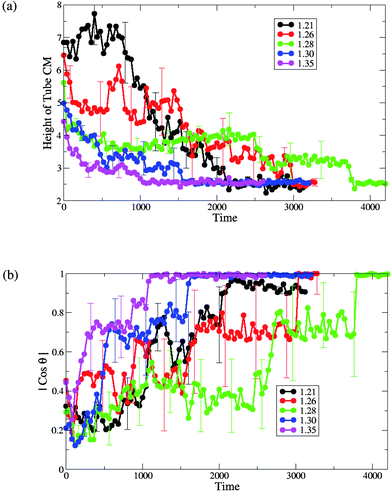 (a) The height of the single end-functionalized nanotube CM from the lower monolayer–solvent interface and (b) the orientation of the nanotubeθ with respect to the z-axis, for different values of initial projected area per lipid (A0 = 1.21, 1.26, 1.28, 1.30 and 1.35).