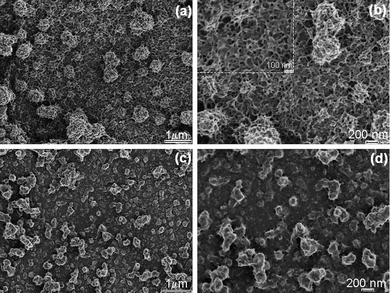 
            SEM micrographs of ∼1000 nm thick PEDOT (a and b) and of ∼200 nm thick PEDOT layers (c and d) obtained by using [HMIm]FAP as a polymerizing medium.