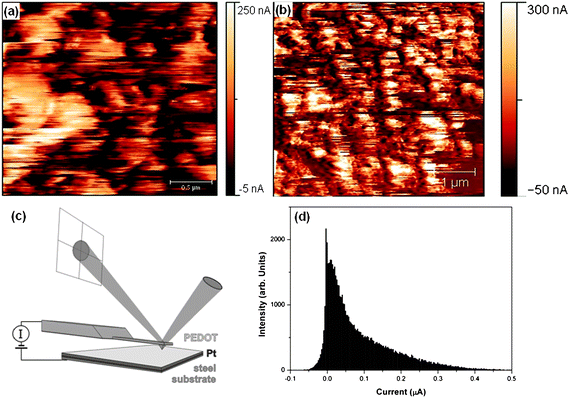 Current distribution of PEDOT layers (a) at a bias of 50 mV and (b) at a bias of 100 mV at different length scales, (c) scheme of CSFM used and (d) histogram of (b).