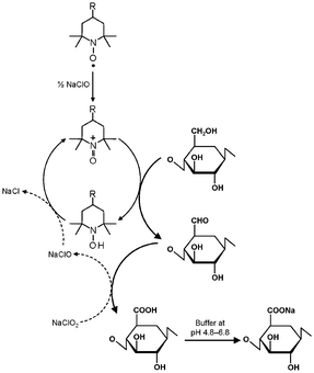 Selective oxidation of C6 primary hydroxyls of cellulose to carboxylate groups by TEMPO/NaClO/NaClO2 oxidation in water at pH 4.8–6.8.