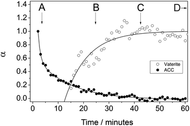 Degree of reaction (α) determined from the vaterite (101) peak area and from the ED-XRD background intensity at 7.5 °C. Characters A to D represent the samples taken from the off-line experiments after specific elapsed times which are also correlated with XRD (Fig. 1b) and FTIR (Fig. 2).