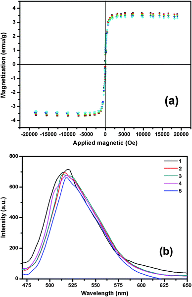 Effect of re-use of Fe3O4@SiO2-Dye-MIP on magnetic moment (a) and fluorescence intensity (b).