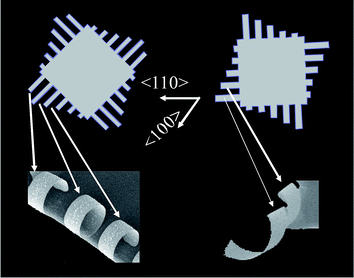 Si/SiGe bilayer cantilever membrane released from patterned substrates. <100>-oriented cantilevers roll into nanorings (left images), while <110>-oriented cantilevers curl into nanocoils (right images), as they prefer to fold along the most compliant <100> direction. The nanorings have a thickness of 60 nm, radius of ∼3.2 μm, and width of 3 μm; the nanocoils have a thickness of 76nm, radius of ∼2.8 μm, and width of 4 μm. Reprinted from ref. 11 with permission.