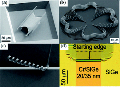 3D structures fabricated from hybrid strained layers. (a) Two suspended Si0.6Ge0.4/Si/Si3N4/Cr (10/10/10/18nm) tubes with the diameter of 3.8 μm. (b) SEM image of ringlike structures formed from a Si/Cr bilayer. (c) A coil formed from a Si0.6Ge0.4/Si/Cr trilayer (11/8/21 nm). (d) A tube formed from a Cr/SiGe bilayer (10/35nm). Image (a) reprinted from ref. 56, images (b) and (c) from ref. 48, and image (d) from ref. 68 with permission.