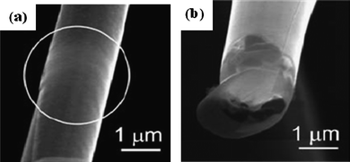 SEM images of single freestanding tube rolled from a 9nm-Si0.67Ge0.33/17-nm Si bilayer, before (a) and after (b) annealing at 6.7 mW for 5 min. The circle in (a) indicates the local annealed region. Reprinted from ref. 42 with permission.