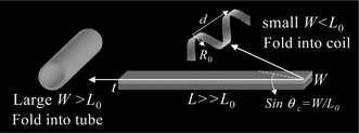 Schematic diagram of rolling or curling a strained bilayer membrane upon release, illustrating the geometric parameters to determine the membrane morphology. The arrows indicate the folding direction. Reprinted from ref. 11 with permission.