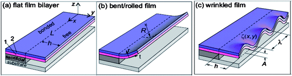 Schematic diagrams of distortions of a strained bilayer membrane with isotropic elastic properties upon release, illustrating the geometric parameters to determine the membrane morphology. (a) Free-hanging bilayer film comprising two layers with thicknesses t1 and t2, subject to biaxial strains ε1 and ε2, respectively. The total length of the bilayer is L. h is the etching length, defined as the distance over which the release layer has been etched away. (b) A bent film with inner radius R, and (c) wrinkled structure with deflection profile ζ(x, y), amplitude A, and wavelength λ. Reprinted from ref. 29 with permission.