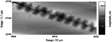 Atomic force microscopy image of a wrinkled freestanding Si0.7Ge0.3 layer. The wrinkles form at both the edges and along the elastically soft <100> directions. Wrinkles are shown as bright regions separated by dark regions. Reprinted from ref. 49 with permission.