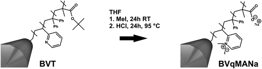 Quaternization of P2VP to P2VPq and ester hydrolysis from PtBMA to PMANa.