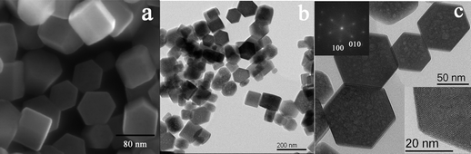 
            SEM (a) and TEM (b and c) images of TbPO4 synthesized by a citric-acid-mediated hydrothermal route.