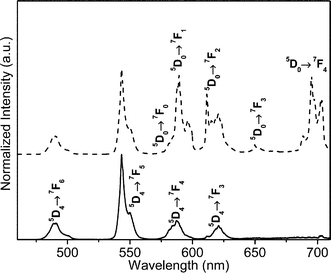 Room temperature emission spectra of pure (full line) and 0.3 mol% Eu3+-doped TbPO4 (dashed line) excited at 377 nm.