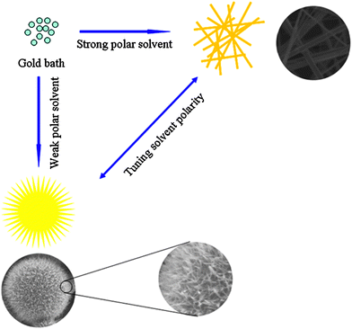 A scheme to illustrate the organic solvent-induced controllable crystallization of Na3[Au(SO3)2] into ultralong microbelts and hierarchical microstructures of nanowires.