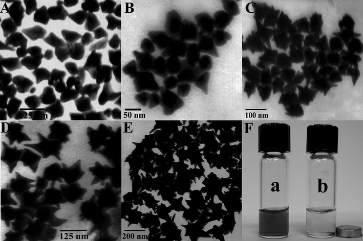 
          TEM images of monitoring the Fe3O4@GNS evolution over different times upon the addition of Fe3O4@AuNPs as seeds, (a) 20, (b) 30, (c) 40, (d) 65, (e) 105 min and (f) the photograph of Fe3O4@GNS suspension corresponding to sample (E) in the (a) absence and (b) presence of an external magnet.
