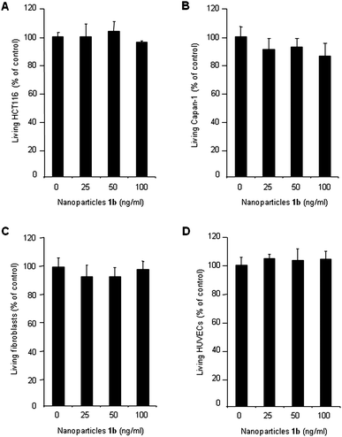 Absence of toxicity of Eu0.333+Gd0.343+/[Mo(CN)8]3−/chitosan nanoparticles 1b in human normal and cancer cells. (A) Human colorectal cancer cells (HCT116), (B) human pancreatic cancer cells (Capan-1), (C) human fibroblasts and (D) human umbilical endothelial HUVEC cells are incubated for 4 days in the absence (0 ng mL−1) or in the presence of increasing doses of nanoparticles (25, 50 and 100 ng mL−1). After treatment, cell proliferation was measured by MTT assay (see Experimental part). Values represent the mean ± standard deviations of triplicates from a typical experiment and were confirmed in two additive experiments.