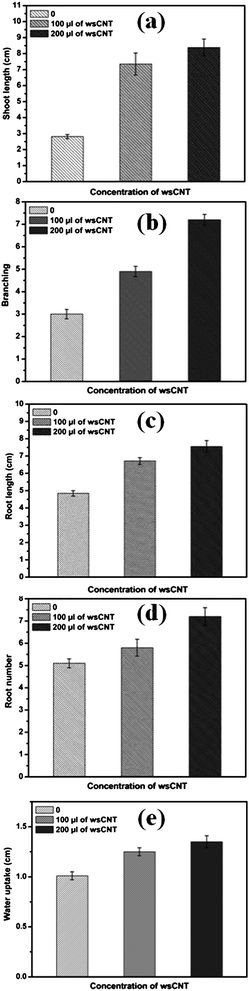 The effect of wsCNT on the growth and development of gram plants, shown as an average ± SE of measurements of 10 plants under different conditions. Up to 10 days’ growth of gram plants was observed and used for all these measurements: (a) growing shoot length of gram plants with and without wsCNT; (b) branching; (c) root length of gram plants growing with and without wsCNT; (d) root numbers of growing gram plants with and without wsCNT (100 μL and 200 μL of stock solution); (e) water uptake.