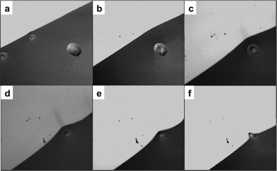 
          Optical microscope images: the same area was imaged several times (a–f) during the drying of a cyclohexane suspension drop onto a hydrophobic substrate. The sequential images depict the receding of the drop contact line and its local distortion (c–e) due to the presence of ethanol\water nanodroplet embedded at the surface. In images b) and c), the nanodroplet displays local and small deformations at its apex with the suspension film toward the centre (depression). The local thickening of the solvent film resulting from that local depression stabilizes this latter against rupture, until the wedge of the drop crosses the nanodroplet. Frame size: 100 μm.