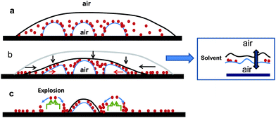 Scheme depicting the three main steps of the evaporation-drying process of a nanocolloid suspension confining immiscible nanobubbles and leading to the formation of isolated Au NPs rings. (a) Initial nanocolloid suspension drop confining immiscible nanobubbles, (b) decrease of the whole volume of the drop due to the evaporation of the solvent and confinement of the nanobubbles coated with the Au NPs; inset: zoom in on the thickening of the apex of the nanobubbles at (nanobubble\suspension\air) interface. (c) Rupture (explosion) of the nanobubble and formation of a peripheral particles nanoring.