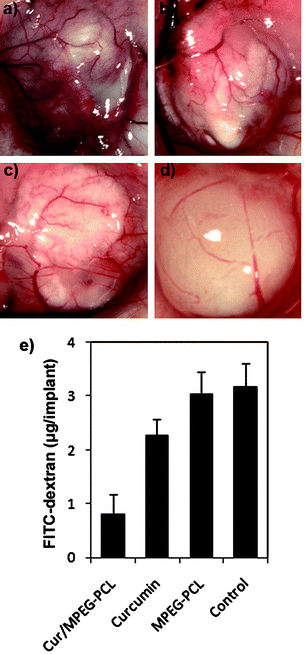 Vasculation of alginate implants. Alginate beads containing colon carcinoma cells were implanted subcutaneously into the mice on day 0. Then, these mice were intravenously administered with normal saline, MPEG-PCL micelles, free curcumin, or Cur/MPEG-PCL micelles once a day for 5 days. On day 12, beads were surgically removed, and FITC-dextran was quantified. Photographs of alginate implants (a: control, b: MPEG-PCL, c: free curcumin, and d: Cur/MPEG-PCL) and FITC-dextran uptake (e) showed the reduction of vascularization in implants of mice treated with Cur/MPEG-PCL micelles.