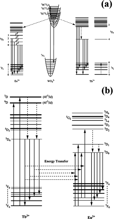 Schematic diagram for the energy transfer from WO42− to Tb3+ and Eu3+ as well as the emission process from Ln3+ (a), and the energy transfer from Tb3+ to Eu3+ (b).