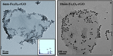 
          TEM image of the 6 nm Fe3O4-rGO and 18 nm Fe3O4-rGO composites. The inset in the left image shows EDX pattern of the 6nm-Fe3O4-rGO sample.