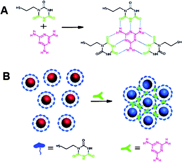 (A) Hydrogen-bonding recognition between melamine and cyanuric acid derivative. (B) Colorimetric detection of melamine using the cyanuric acid-stabilized AuNPs. Reproduced with permission from ref. 139. Copyright 2009, ACS.