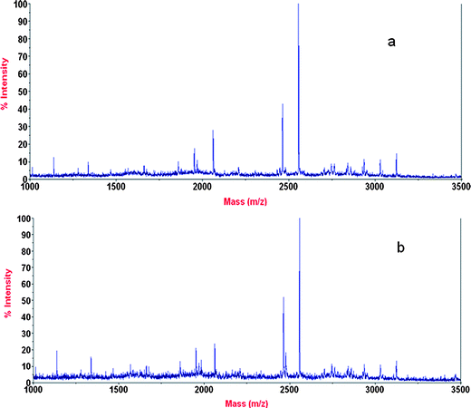 MALDI mass spectrum of phosphopeptides enriched from β-casein using ZrP-functionalized magnetic mesoporous silica microspheres, (a) for the first time and (b) for the fifth time.