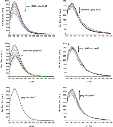 Fluorimetric titrations of 3 (left column) and 4 (right column) (c(3, 4) = 5.0 × 10−7 mol dm−3, λexc = 355 nm) with various ds-polynucleotides at ratio r[compound]/[polynucleotide] = 0–0.01. Done at pH 5 (sodium citrate buffer, I = 0.03 M).