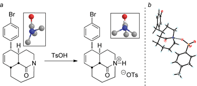 (a) N-Protonation of tricyclic bridged lactams (close-up of the amide region is shown in boxes, view along N–C(O) axis; ball-and-stick depictions of the X-ray derived structures). (b) Full crystal structure of N-protonated medium-bridged twisted amide.