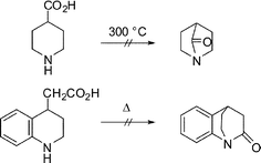 Attempted synthesis of anti-Bredt amides by Lukeš.