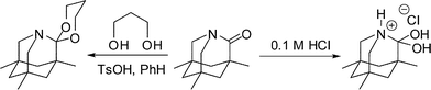 Tetrahedral intermediates from 1-aza-2-adamantanone.