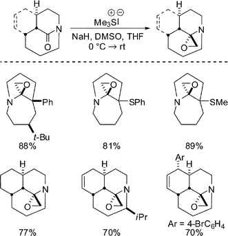 Synthesis of bridged aminoepoxides.