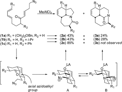 Synthesis of tricyclic planar and medium-bridged lactamsvia domino Diels–Alder/Schmidt sequence.